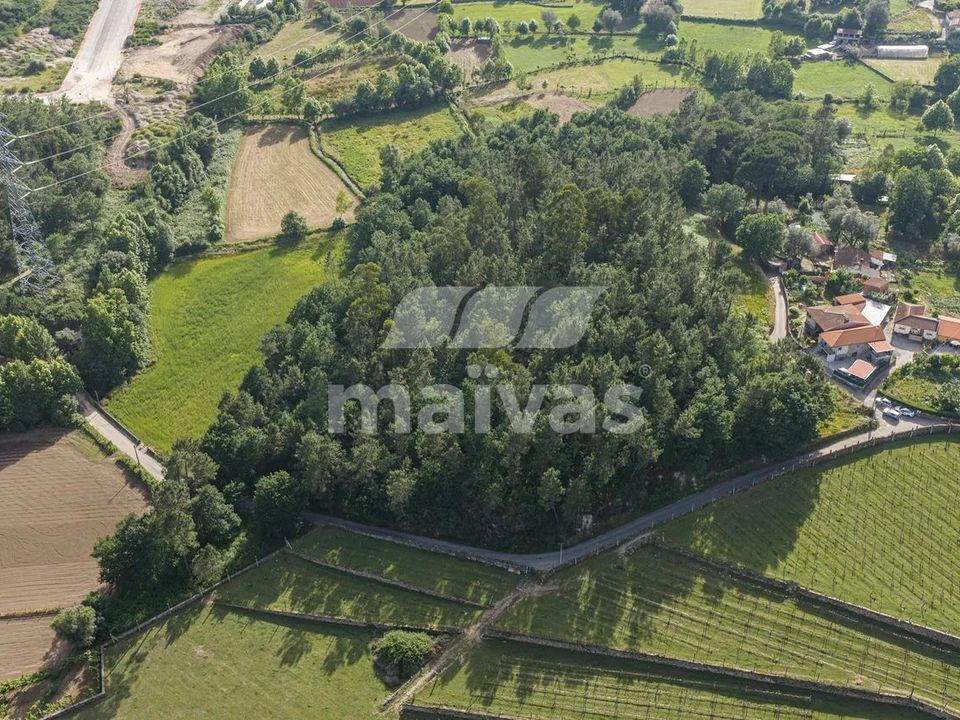 Helårsgrund i Vila Verde, Braga - foto 1