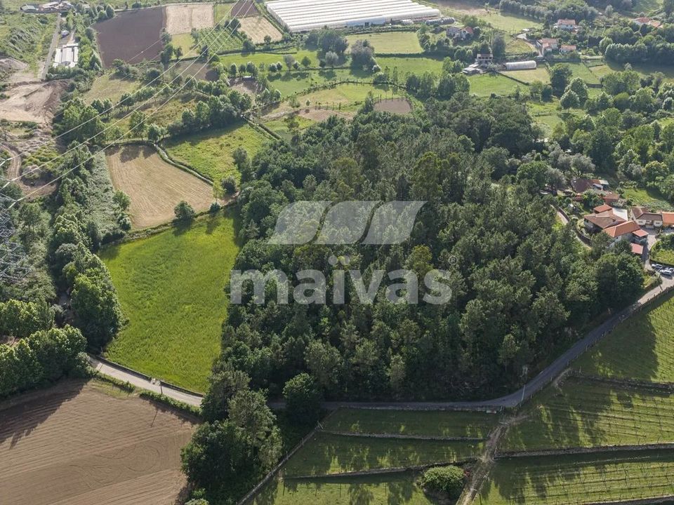 Helårsgrund i Vila Verde, Braga - foto 5