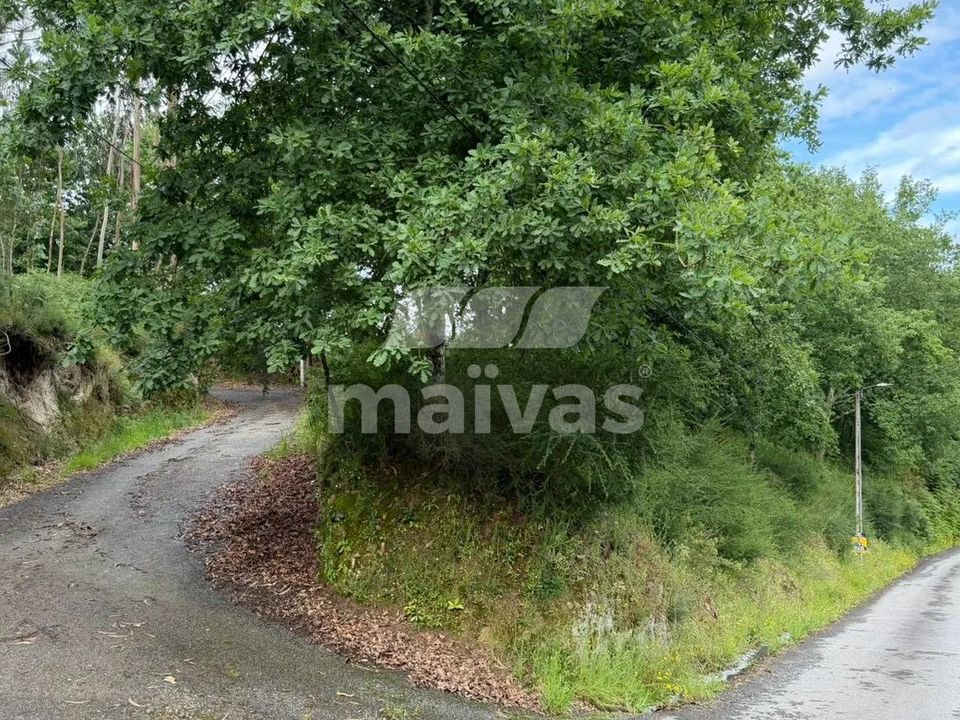 Helårsgrund i Vila Verde, Braga - foto 3