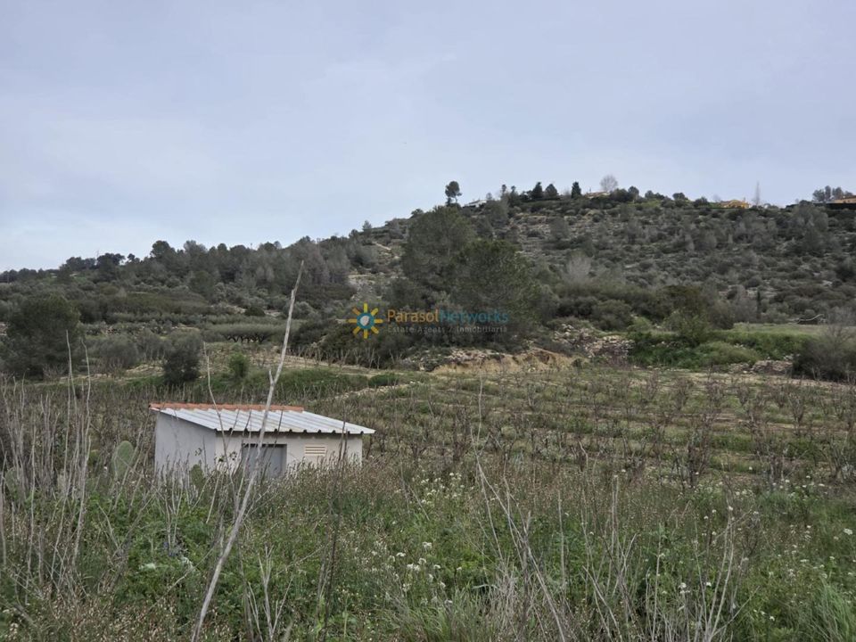 Helårsgrund i Beniganim, Valencia - foto 5