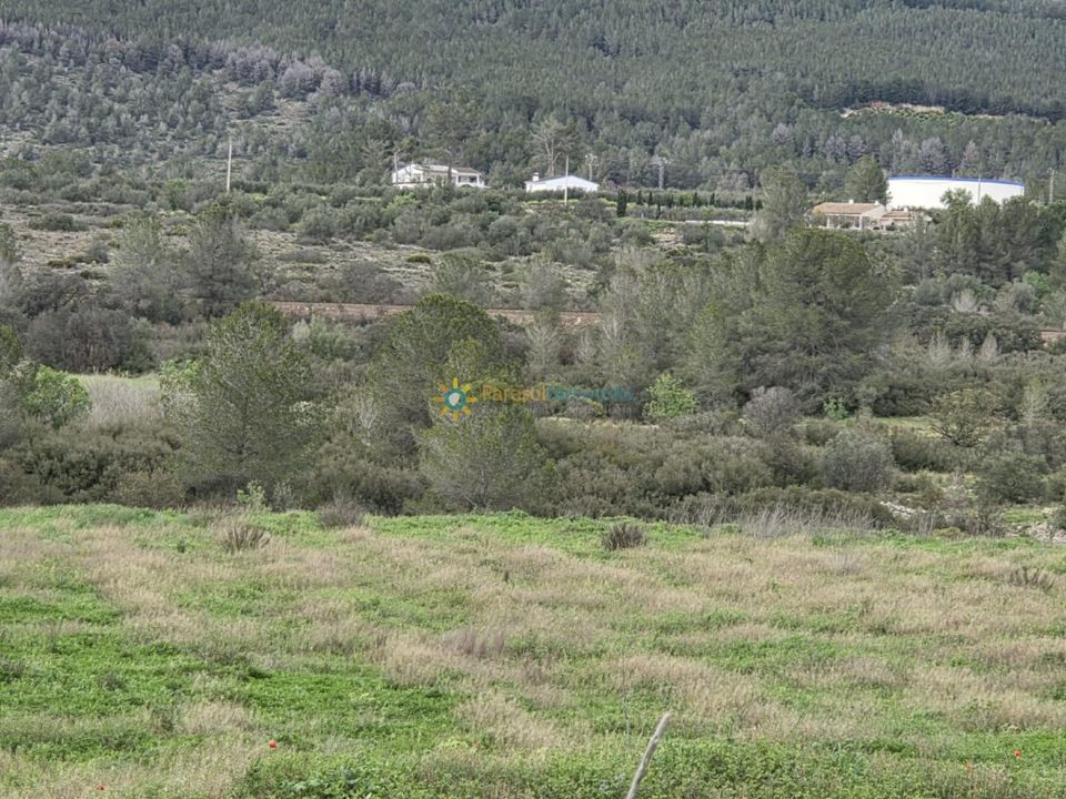 Helårsgrund i Beniganim, Valencia - foto 3