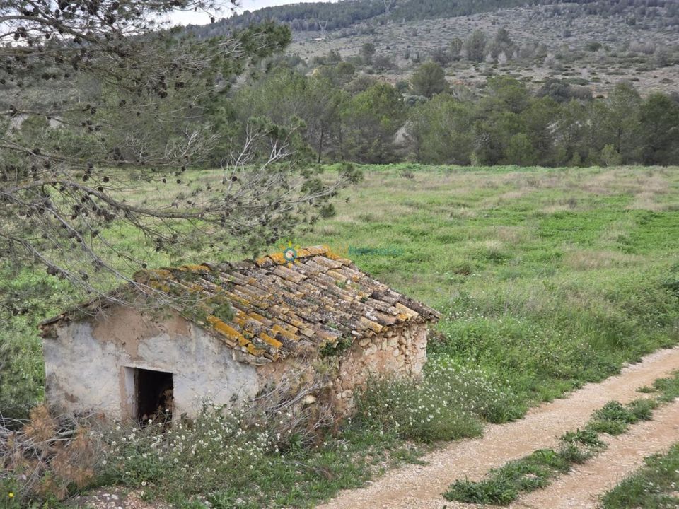 Helårsgrund i Beniganim, Valencia - foto 4