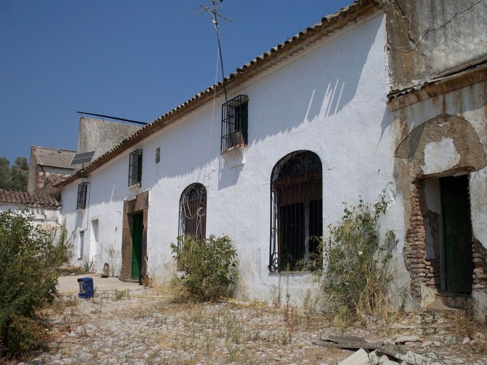 Farm hus i Adamuz, Cordoba - foto 4