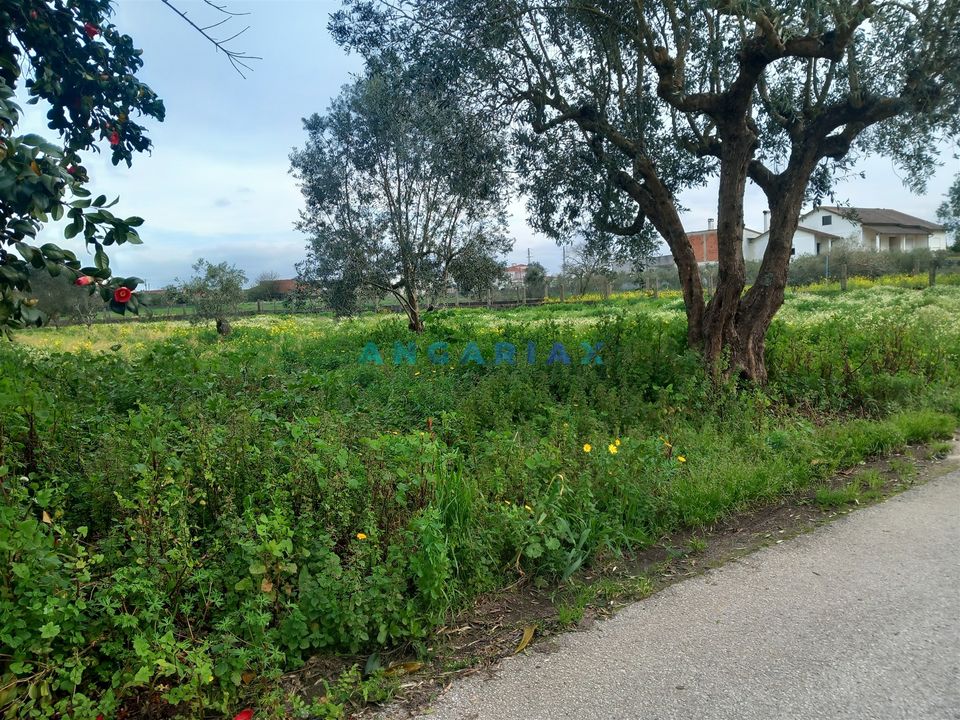 Helårsgrund i Pombal, Leiria - foto 3