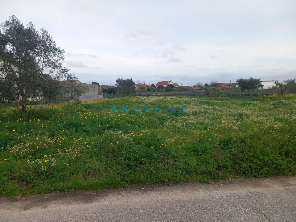 Helårsgrund i Pombal, Leiria - foto 1