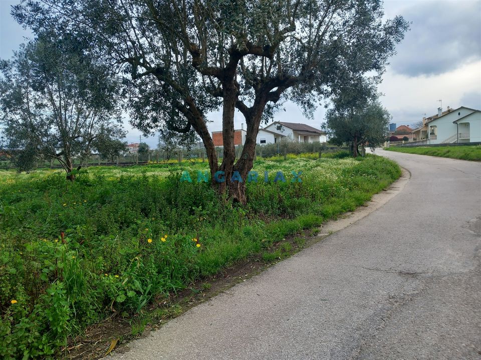 Helårsgrund i Pombal, Leiria - foto 4