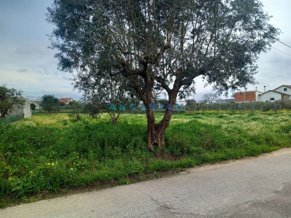 Helårsgrund i Pombal, Leiria - foto 5