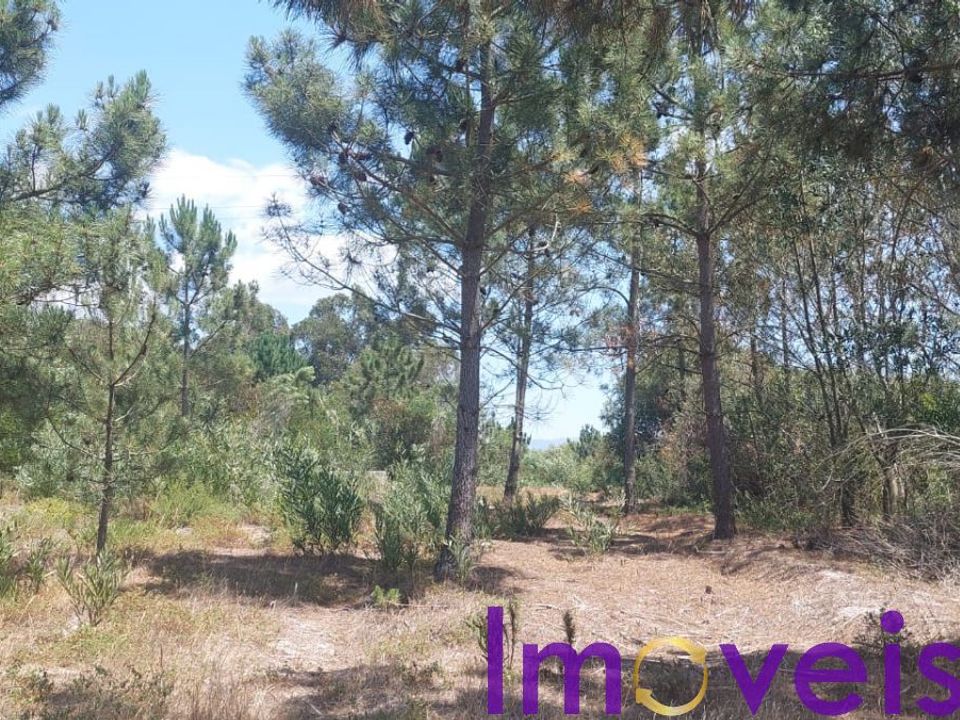 Helårsgrund i Aljezur, Faro - foto 3