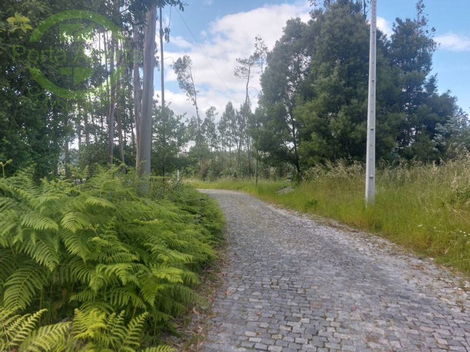 Helårsgrund i Santo Tirso, Porto - foto 2