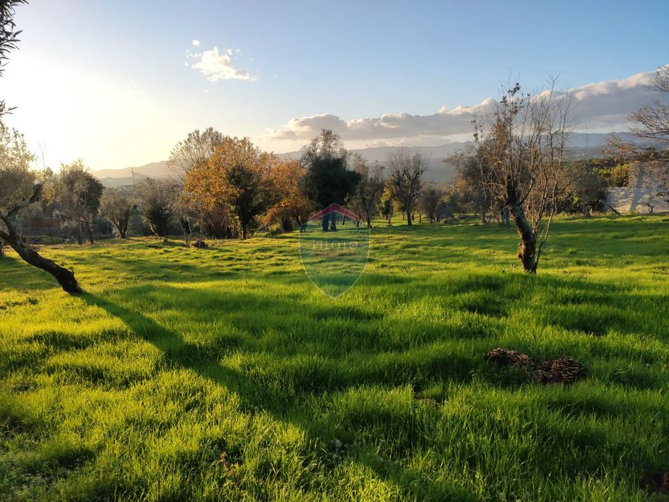 Helårsgrund i Viseu, Viseu - foto 1