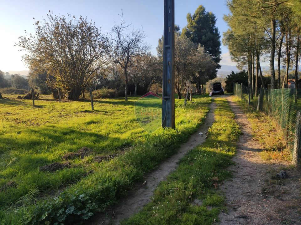 Helårsgrund i Viseu, Viseu - foto 2