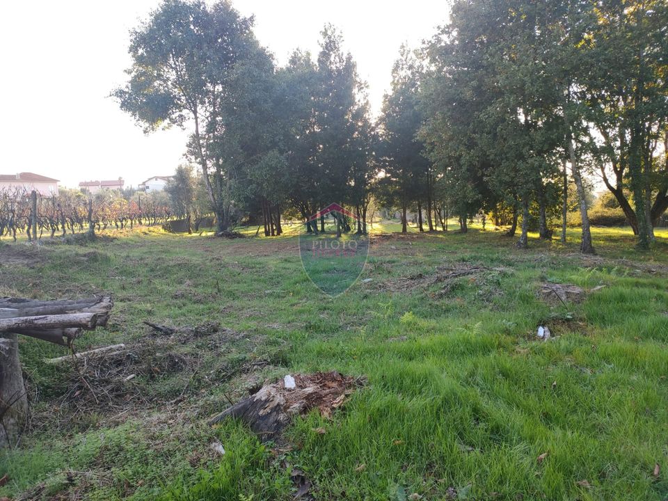 Helårsgrund i Viseu, Viseu - foto 3
