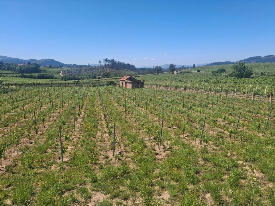 Helårsgrund i Moncao, Viana do Castelo - foto 1