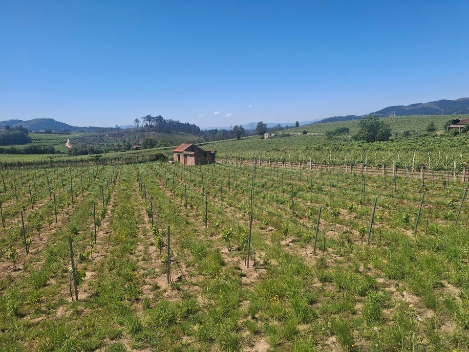 Helårsgrund i Moncao, Viana do Castelo - foto 2