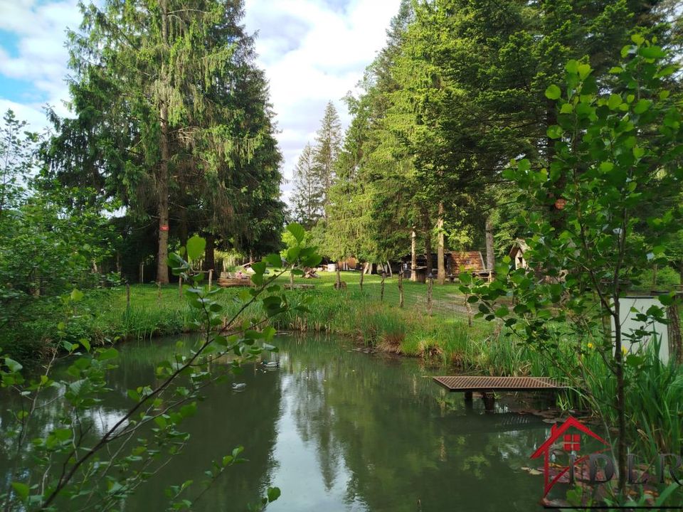 Helårsgrund i Champsevraine, Haute-Marne - foto 2