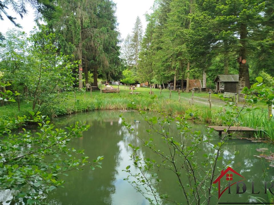 Helårsgrund i Champsevraine, Haute-Marne - foto 3