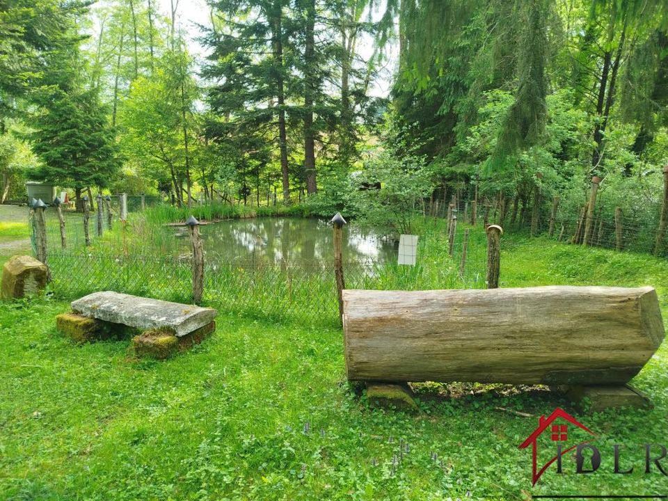 Helårsgrund i Champsevraine, Haute-Marne - foto 4