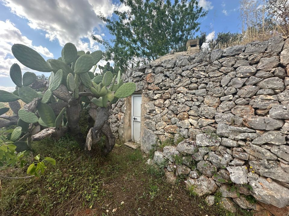 Villa i Ostuni, Brindisi - foto 5