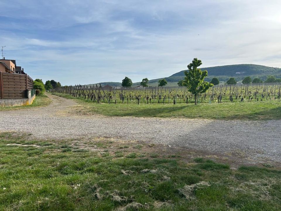 Villa i Hattstatt, Haut-Rhin - foto 1