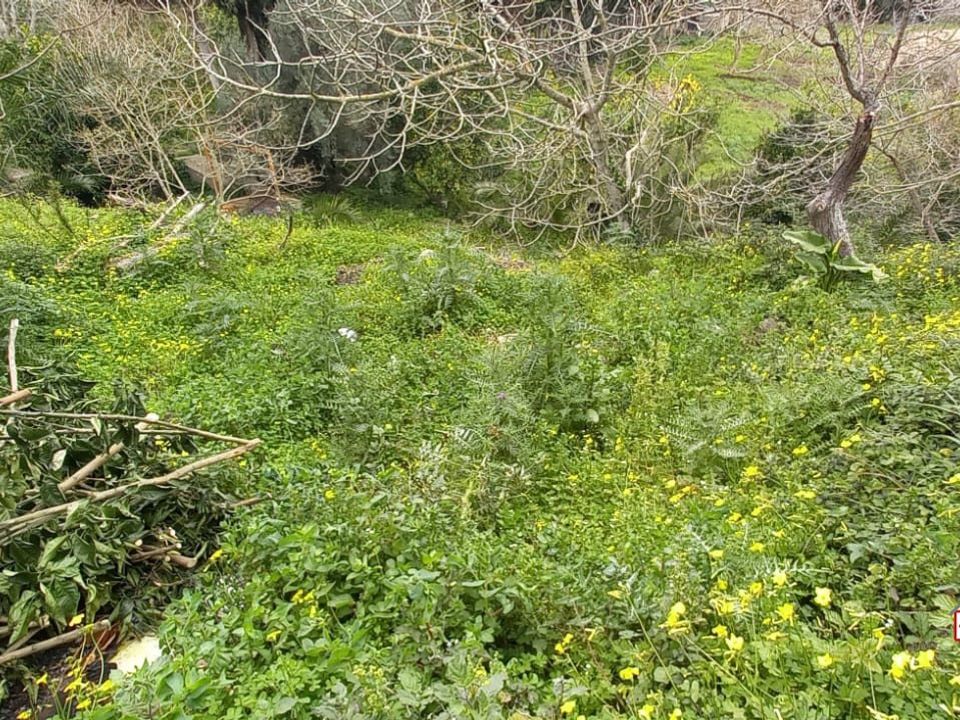 Helårsgrund i Messina, Messina - foto 4