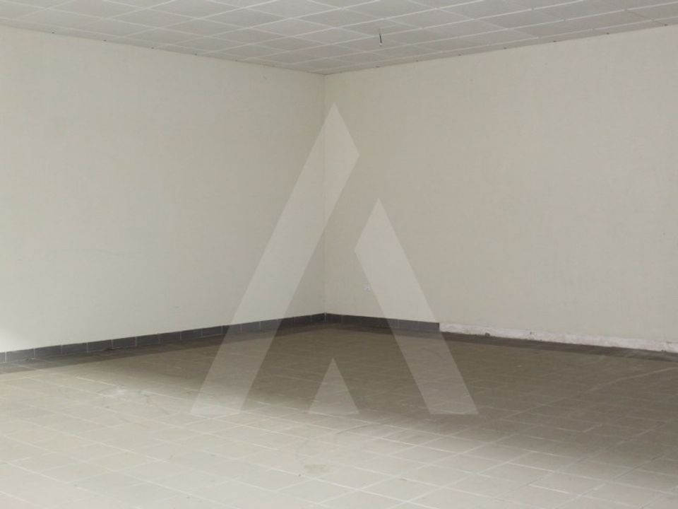 Erhvervsejendom i Albergaria-a-Velha, Aveiro - foto 4