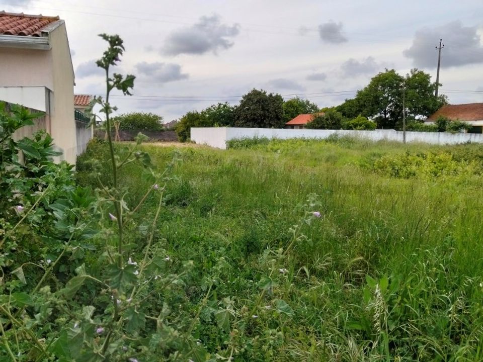 Helårsgrund i Aveiro, Aveiro - foto 2