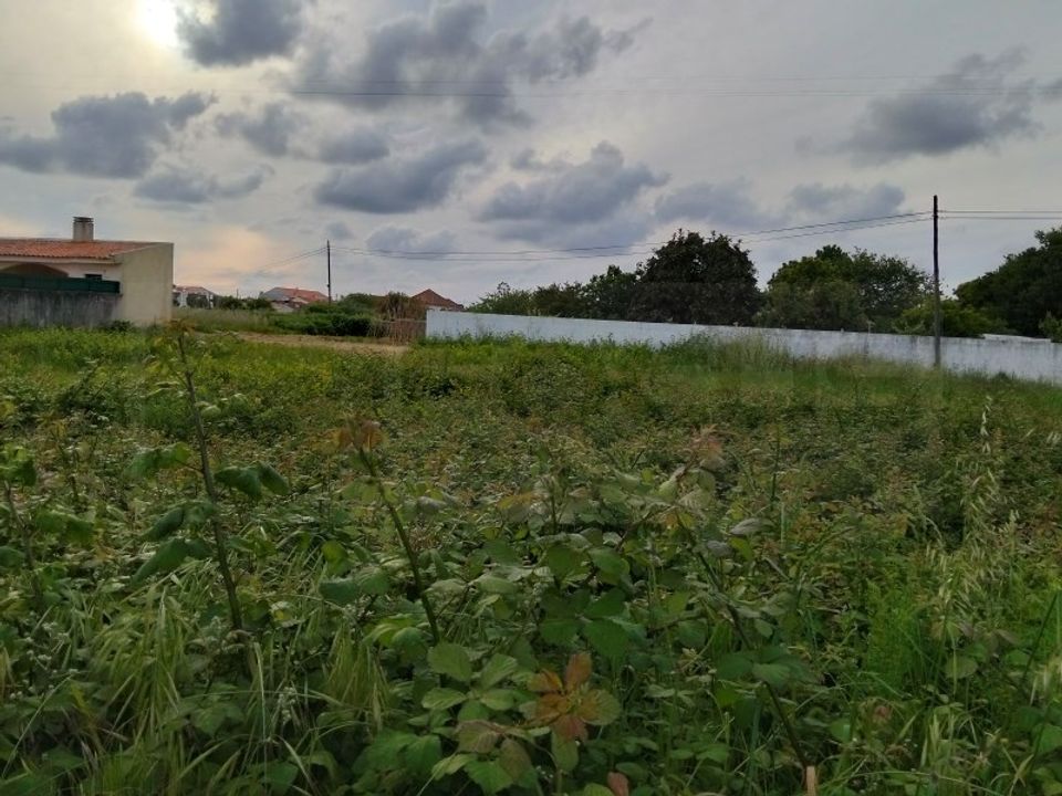 Helårsgrund i Aveiro, Aveiro - foto 4