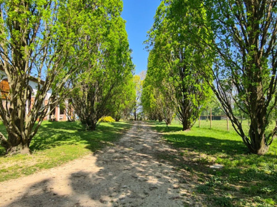 Villa i Riese Pio X, Treviso - foto 5