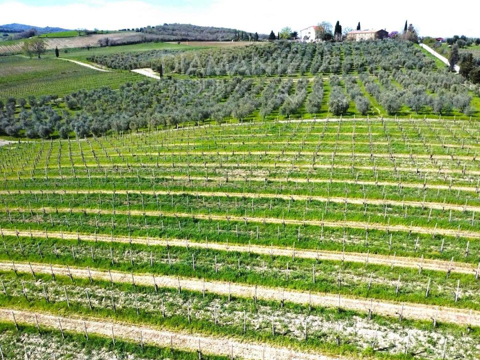 Helårsgrund i Castel del Piano, Grosseto - foto 1