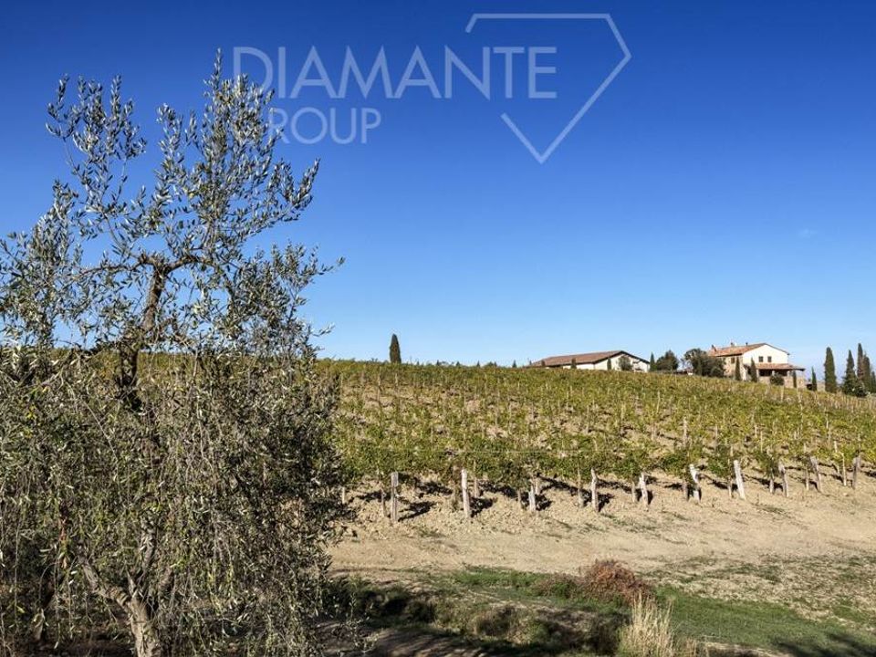 Helårsgrund i Castel del Piano, Grosseto - foto 5