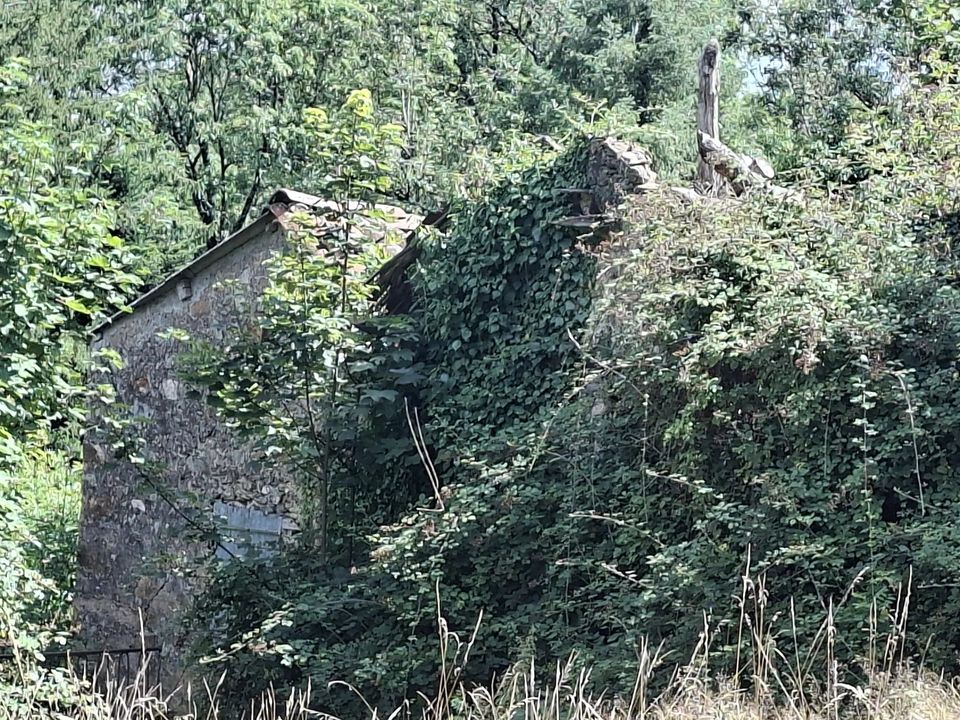 Tomt i Montredon-Labessonnié, Tarn - bilde 3