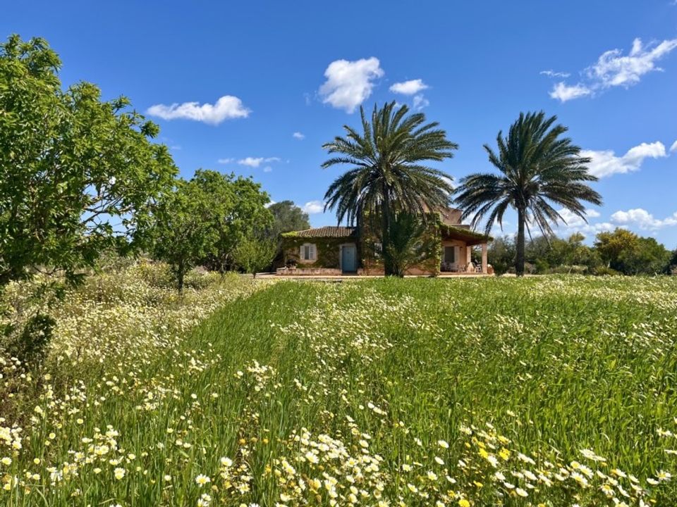 Landejendom i Campos, Mallorca - foto 2