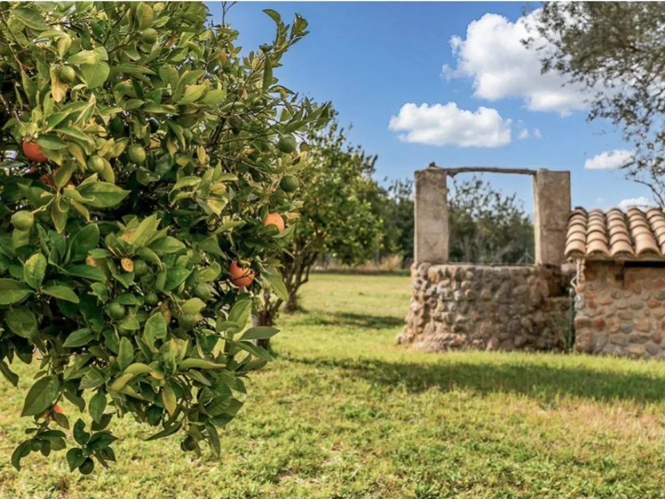 Herregård i Selva, Mallorca - bilde 2