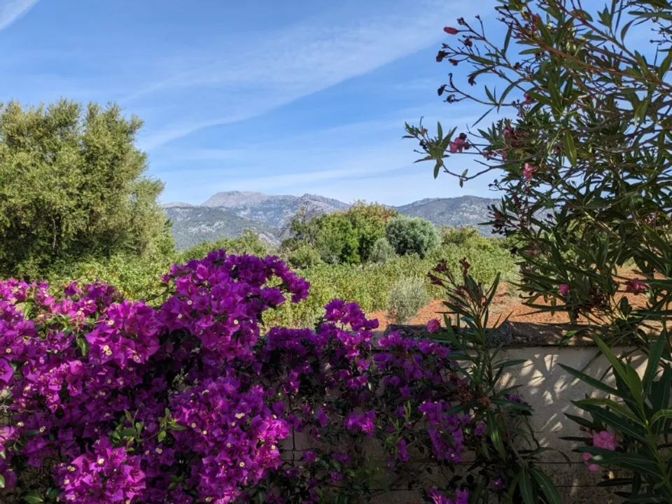 Herregård i Selva, Mallorca - bilde 5