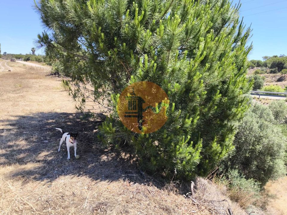 Helårsgrund i Castro Marim, Faro - foto 3