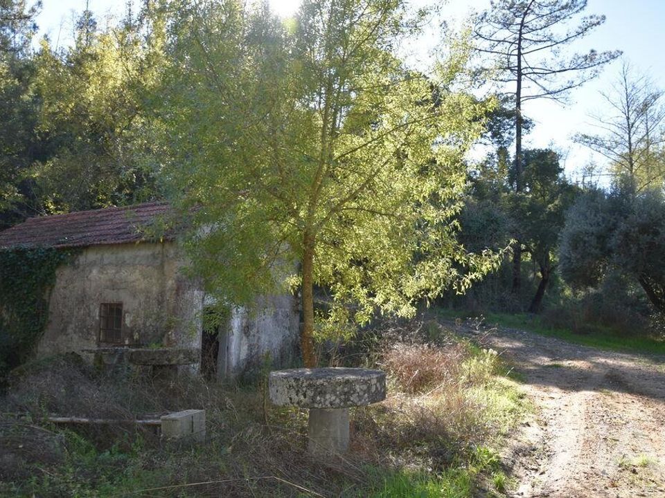 Byhus i Ourem, Santarem - foto 2