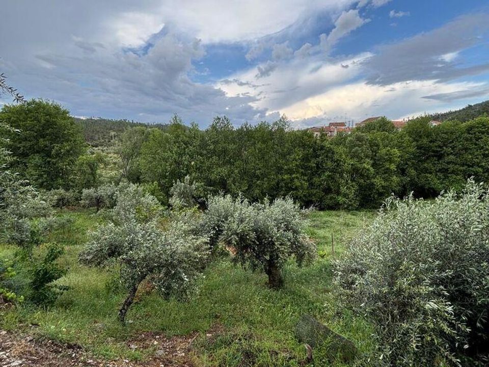 Helårsgrund i Castelo Branco, Castelo Branco - foto 4