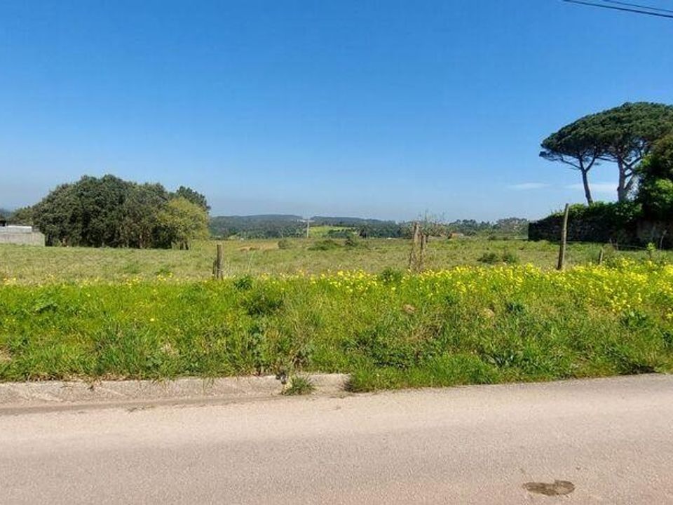 Helårsgrund i Alcobaca, Leiria - foto 1