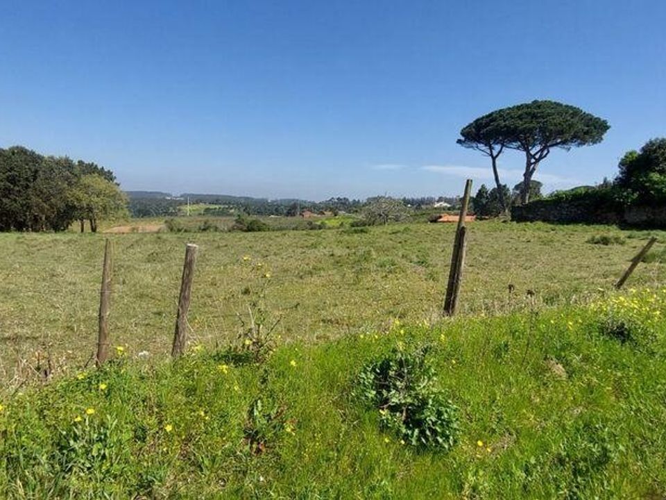 Helårsgrund i Alcobaca, Leiria - foto 2