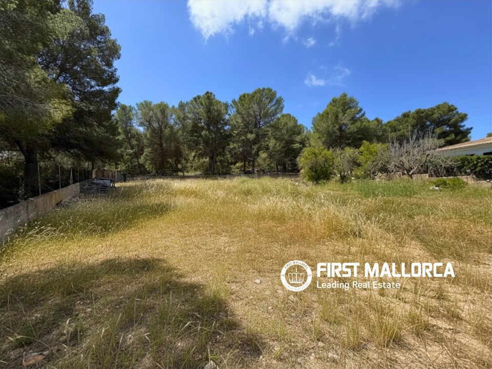 Helårsgrund i Santa Ponsa, Mallorca - foto 3