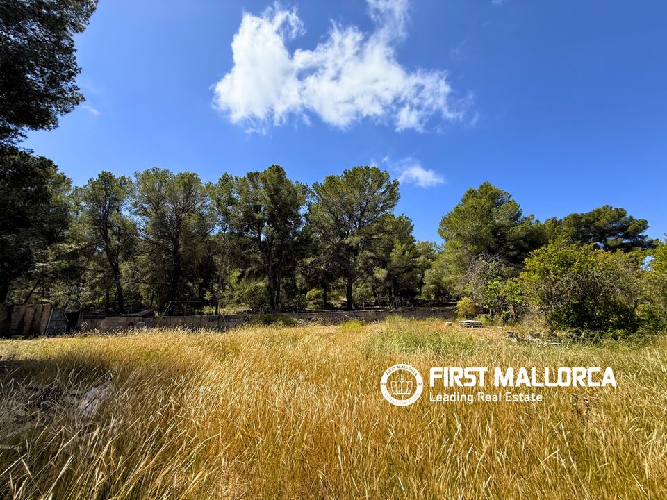 Helårsgrund i Santa Ponsa, Mallorca - foto 4