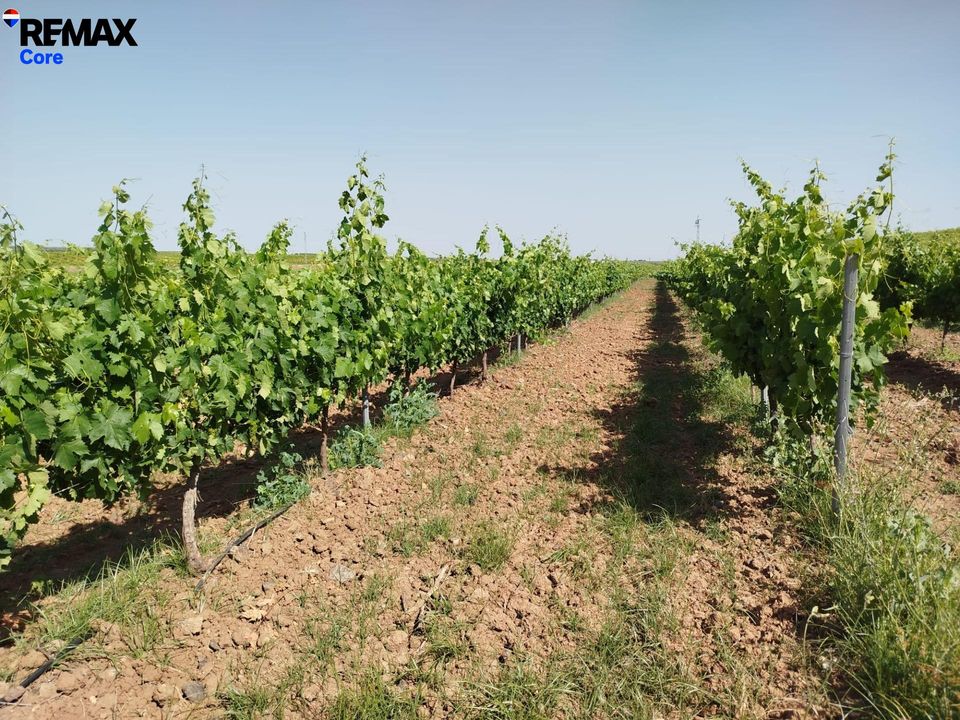 Helårsgrund i Badajoz, Badajoz - foto 2