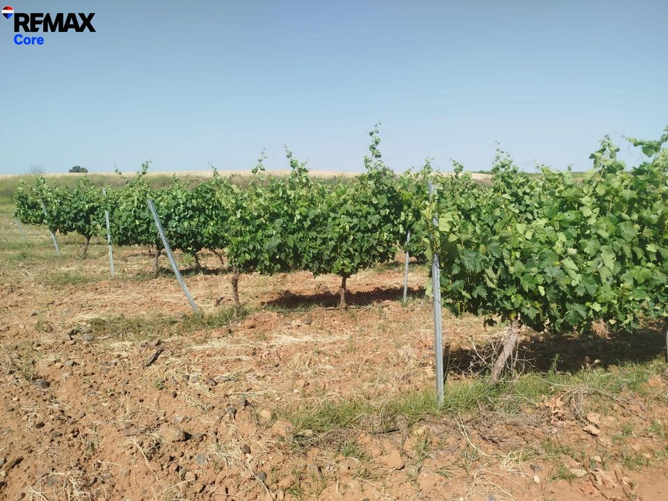 Helårsgrund i Badajoz, Badajoz - foto 3