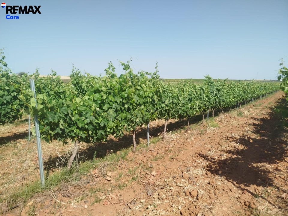 Helårsgrund i Badajoz, Badajoz - foto 4