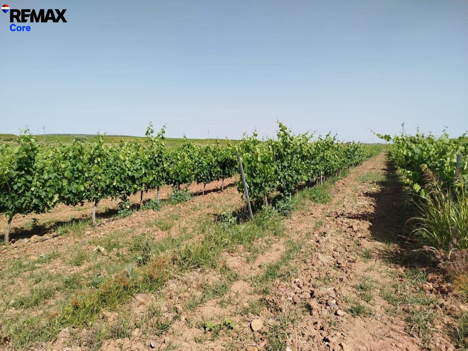 Helårsgrund i Badajoz, Badajoz - foto 5