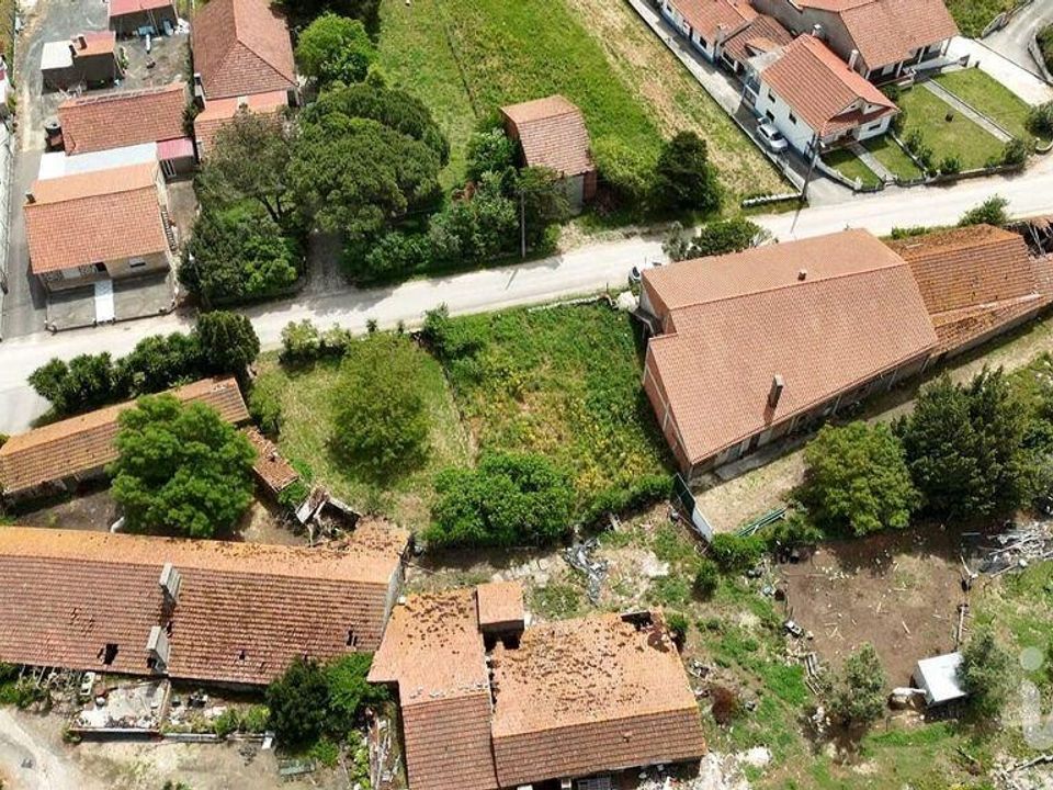 Helårsgrund i Rio Maior, Santarem - foto 5