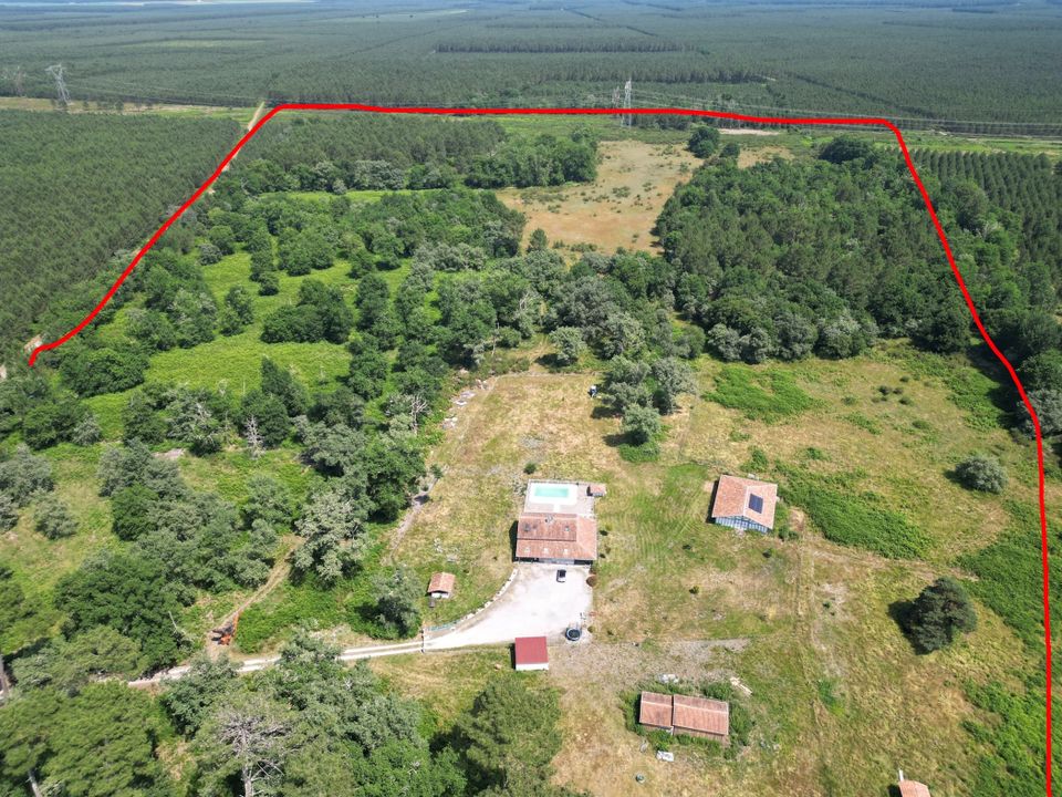 Villa i Pissos, Landes - foto 3