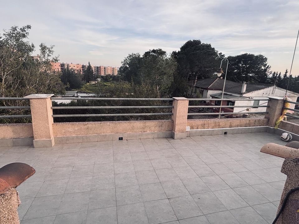 Finca i Gea Y Truyols, Murcia - foto 5