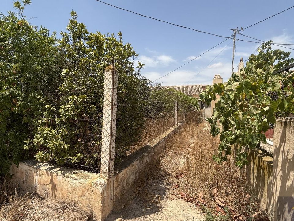 Finca i Los Martinez Del Puerto, Murcia - foto 3