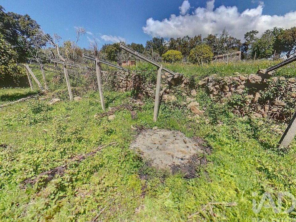Helårsgrund i Serta, Castelo Branco - foto 2